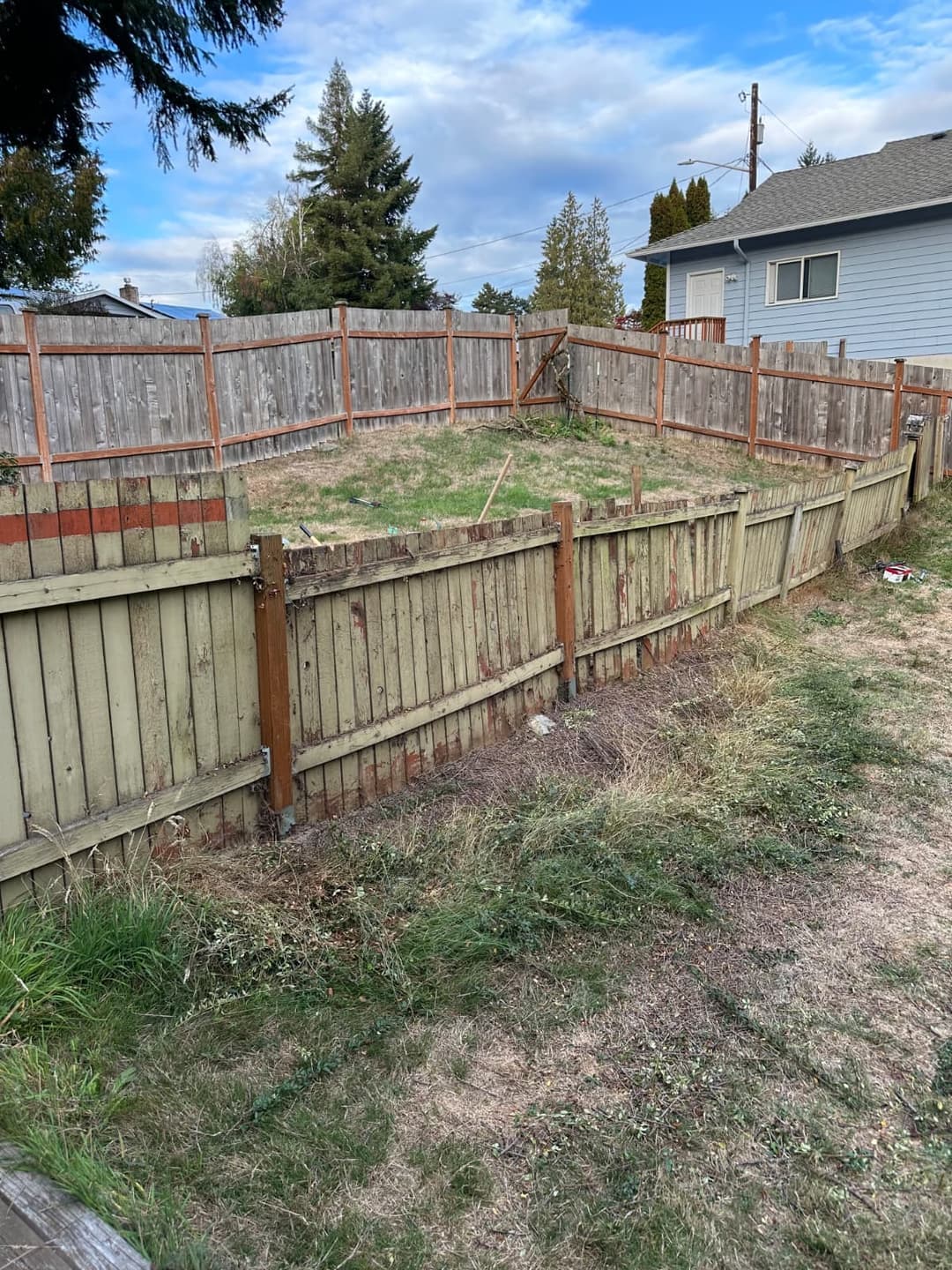 shrub completely removed and junk taken and hauled to the dump